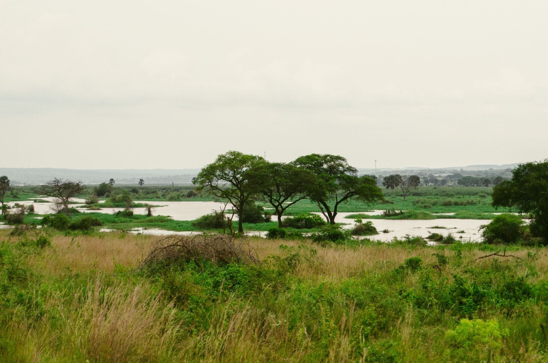Grassavannevlakten en acaciabomen met uitzicht op wetlands in Murchison Falls National Park onder een bewolkte lucht.