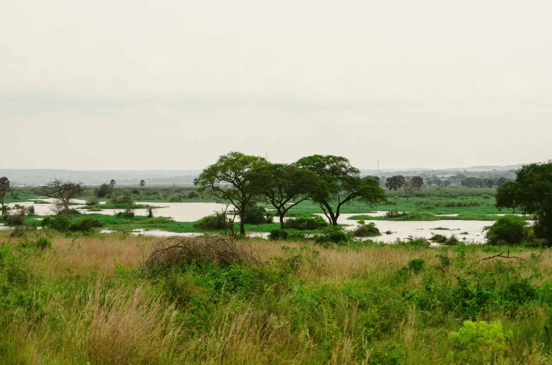 Nationaal Park Murchison Falls