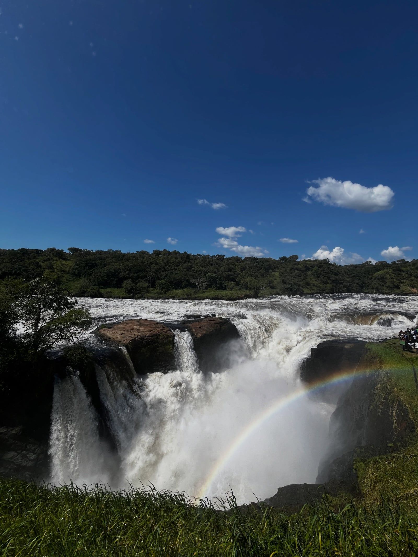 Zicht op Nationaal Park Murchison Falls